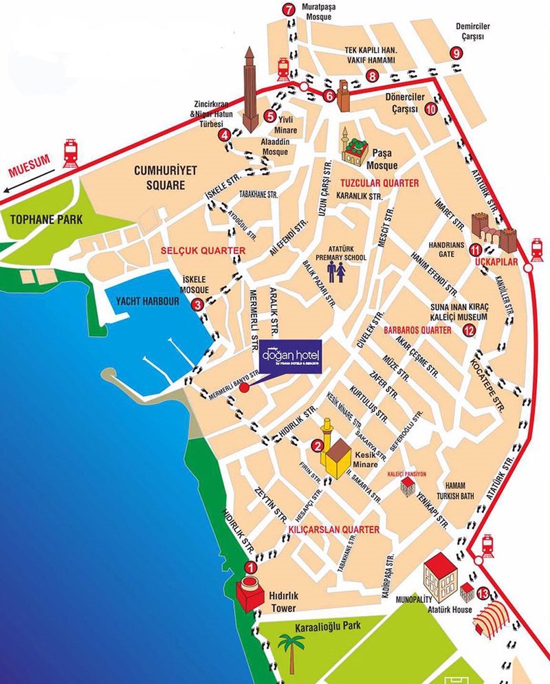 Describe the image here